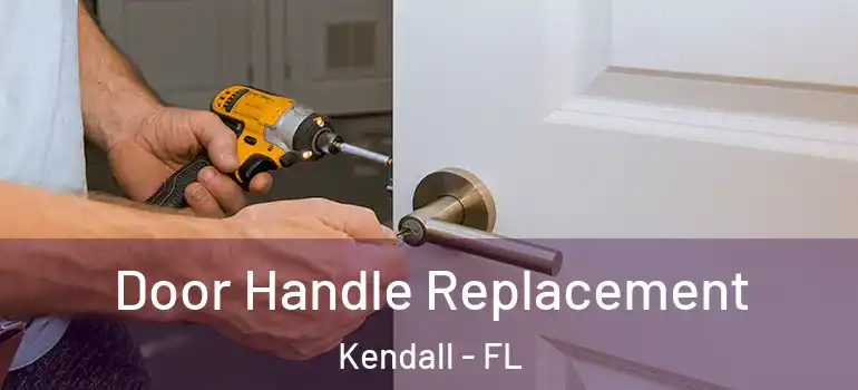  Door Handle Replacement Kendall - FL