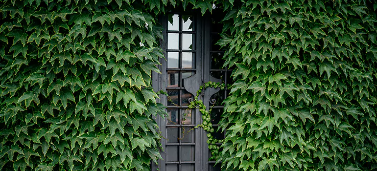 Garden Gate Repair in Kendall, FL