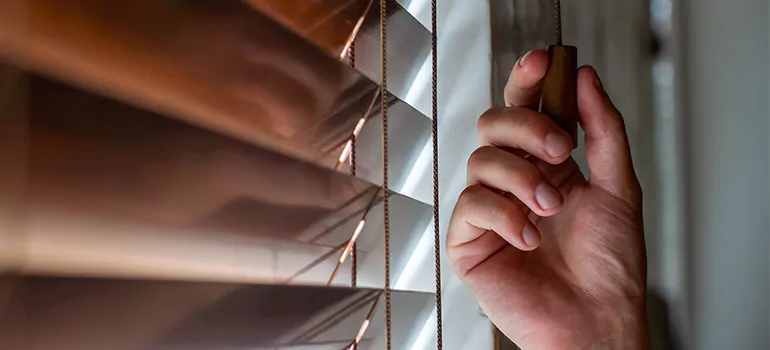 Double Roller Blinds in Kendall, FL