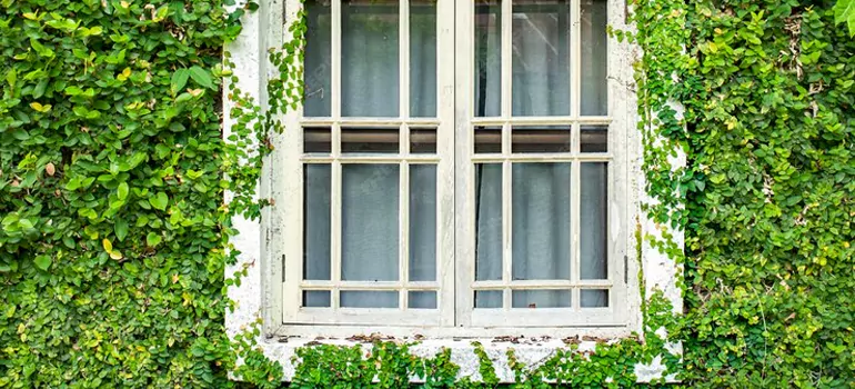 Garden Window Repair Near Me in Kendall, FL