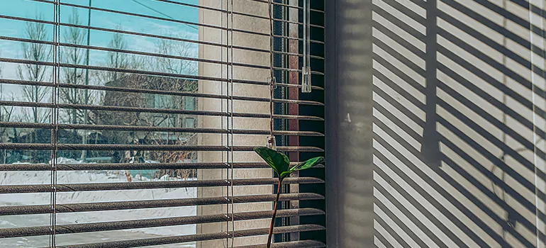 Commercial Window Blinds in Kendall, FL