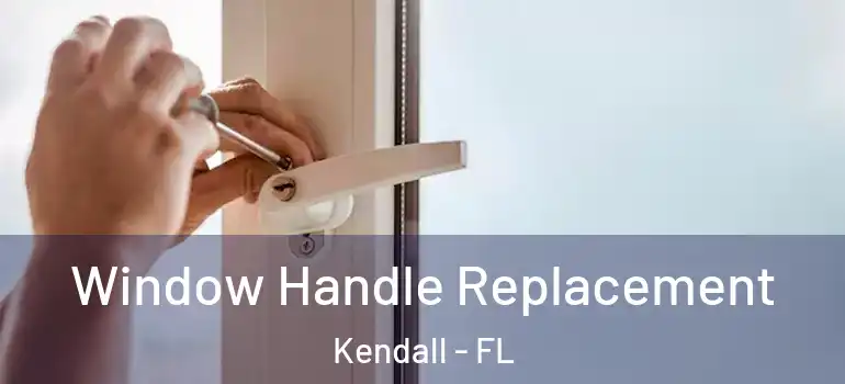  Window Handle Replacement Kendall - FL