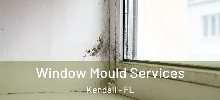  Window Mould Services Kendall - FL